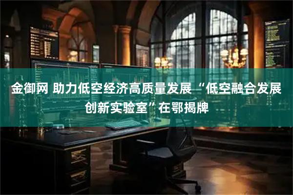 金御网 助力低空经济高质量发展 “低空融合发展创新实验室”在鄂揭牌