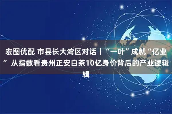 宏图优配 市县长大湾区对话｜“一叶”成就“亿业” 从指数看贵州正安白茶10亿身价背后的产业逻辑