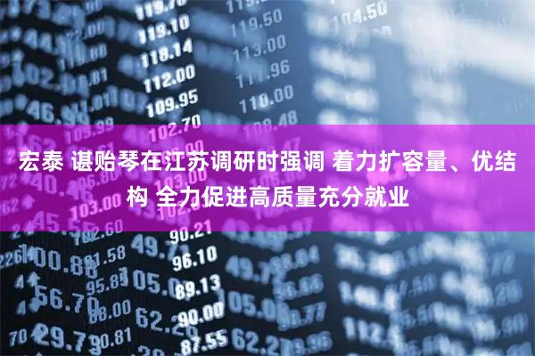 宏泰 谌贻琴在江苏调研时强调 着力扩容量、优结构 全力促进高质量充分就业