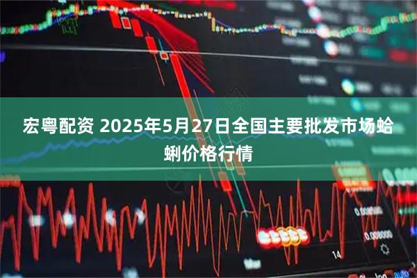 宏粤配资 2025年5月27日全国主要批发市场蛤蜊价格行情